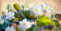 Фотообои листовые Citydecor Цветы и Растения 163 (300x150см) - 