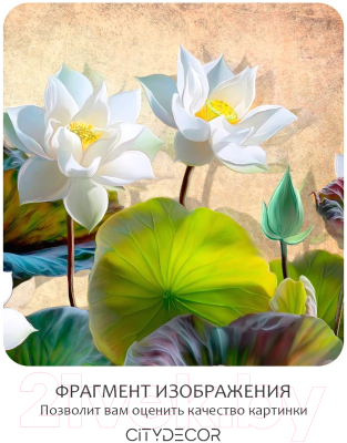 Фотообои листовые Citydecor Цветы и Растения 163 (300x150см)