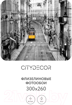 Фотообои листовые Citydecor Города и Архитектура 51 (300x260см)