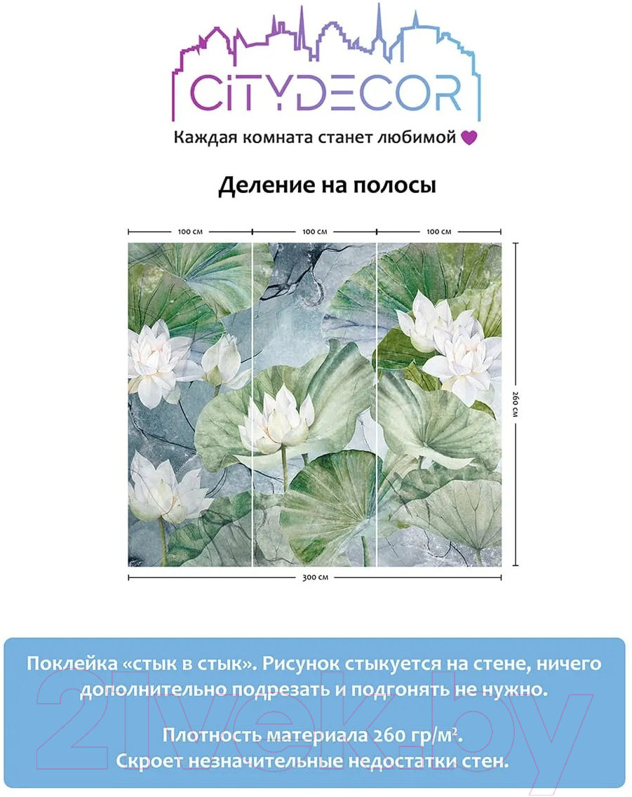 Фотообои листовые Citydecor Blossom 26