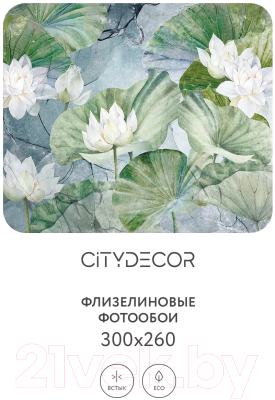 Фотообои листовые Citydecor Blossom 26 (300x260см)