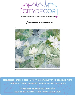 Фотообои листовые Citydecor Blossom 26 (300x260см)