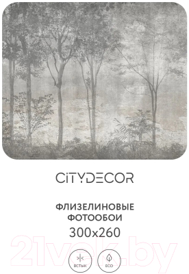 Фотообои листовые Citydecor Dark Side 34 (300x260см)