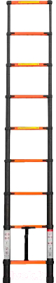 Телескопическая лестница ISMA UP290