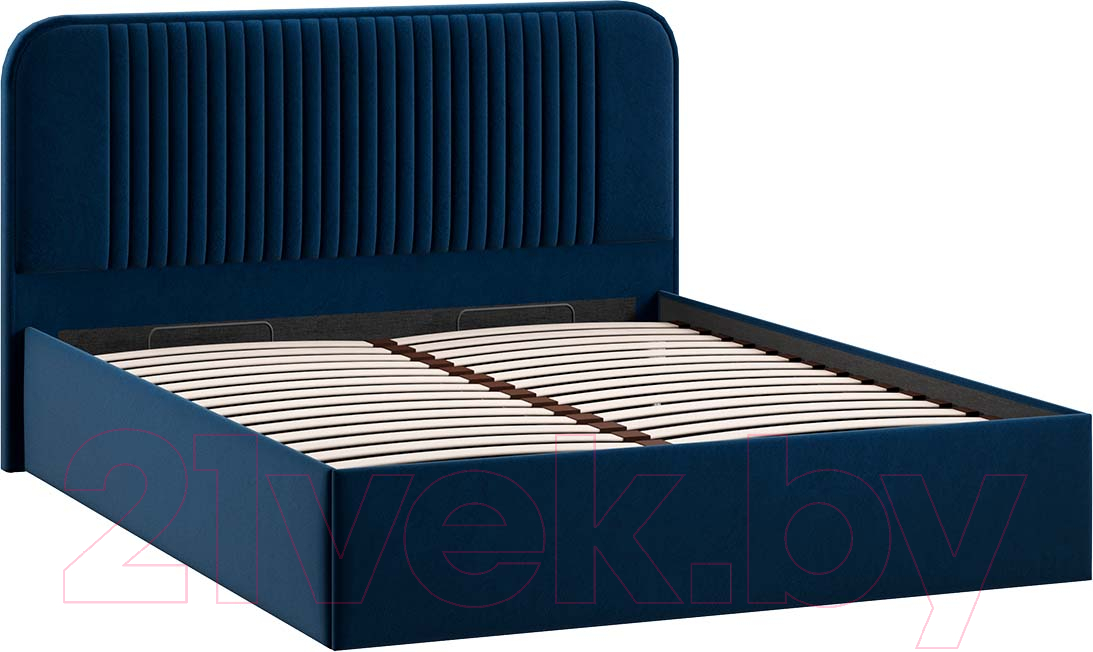 Двуспальная кровать ТриЯ Тиффани Тип 1 c ПМ 160x200 (микровелюр Wellmart Blue) — фото 2