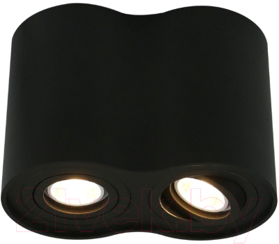 

Точечный светильник Arte Lamp, Falcon Grande A5644PL-2BK