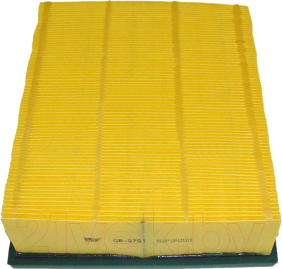 Воздушный фильтр BIG Filter GB-9751