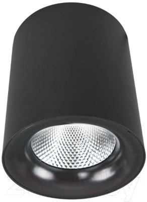 

Точечный светильник Arte Lamp, Facile A5130PL-1BK