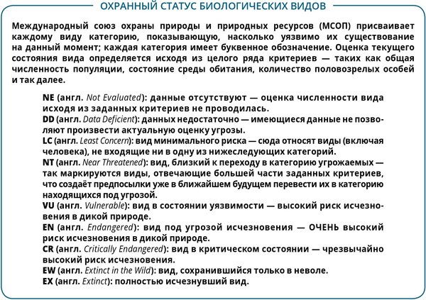 Комикс Пешком в историю Морские животные в комиксах. Т3, твердая обложка (Казнов Кристоф)