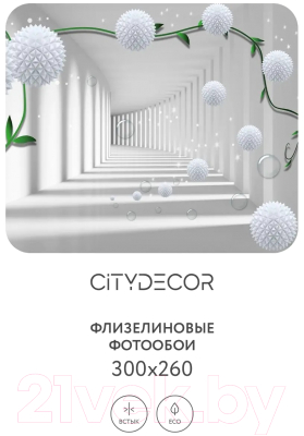 Фотообои листовые Citydecor Абстракция 201 (300x260см)