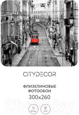 Фотообои листовые Citydecor Города и Архитектура 53 (300x260)