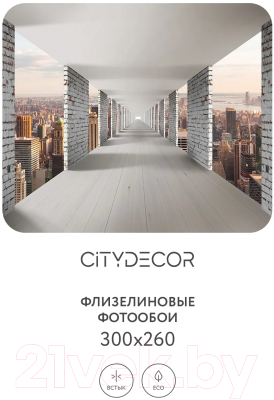Фотообои листовые Citydecor Города и Архитектура 83 (300x260см)