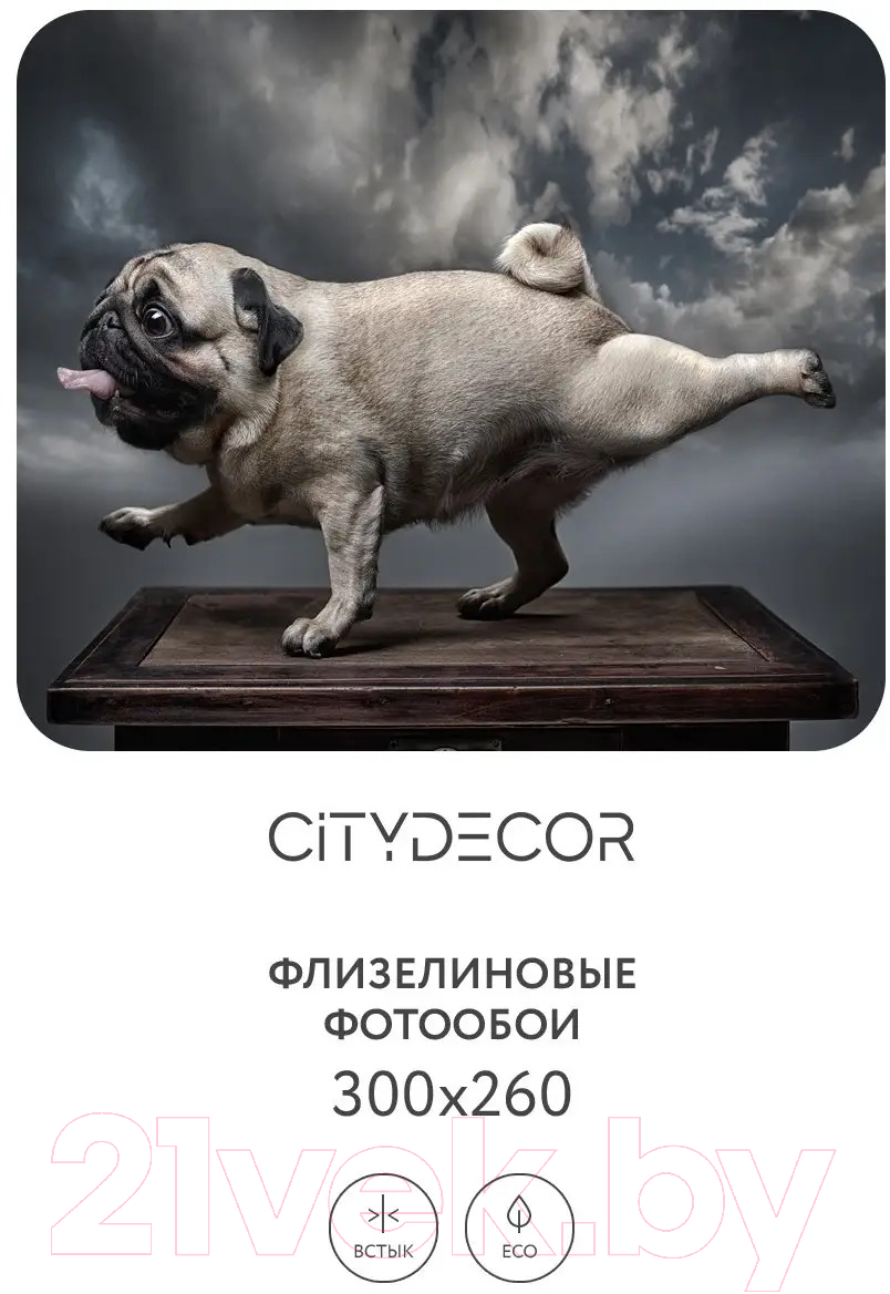 Фотообои листовые Citydecor Животные и Птицы 13