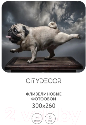 Фотообои листовые Citydecor Животные и Птицы 13 (300x260см)