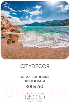 Фотообои листовые Citydecor Море и Водопады 49 (300x260см)