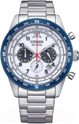 Часы наручные мужские Citizen CA4554-84H