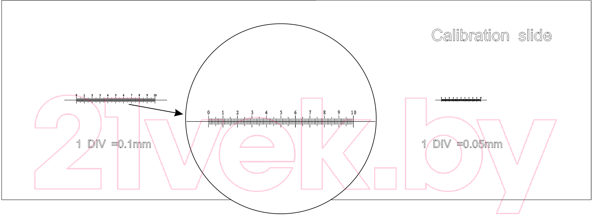 Калибровочный слайд Levenhuk 3 / 82242