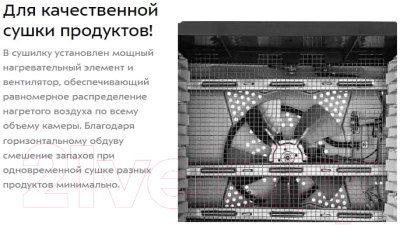 Сушильный шкаф для овощей и фруктов Kitfort КТ-1970