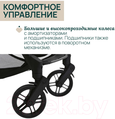 Детская прогулочная коляска Chicco Goody Xplus Pearl (Grey)