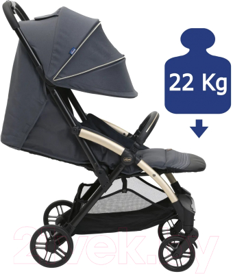 Детская прогулочная коляска Chicco Goody Xplus (Dark Shadow)