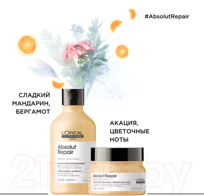 Набор косметики для волос L'Oreal Professionnel Serie Expert Absolut Repair Шампунь+Маска (300мл+250мл)