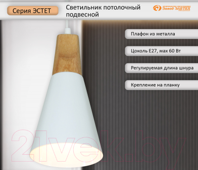Потолочный светильник Элетех Эстет 9901 НСБ 01-60-196 / 1005405382 (белый)