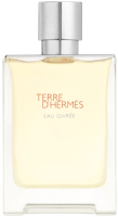 Парфюмерная вода Hermes Terre D'Hermes Eau Givree (100мл) - 