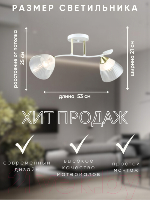 Потолочный светильник Aitin-Pro НПБ 02-2x60-101 / A4241/2 (белый/золото)