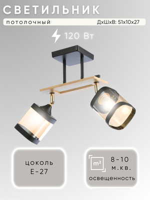 Потолочный светильник Aitin-Pro НПБ 02-2x60-101 / N4718/2 (черный/золото) -