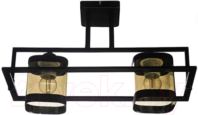 Потолочный светильник Aitin-Pro НПБ 02-2x60-101 / N5274/2 (черный)