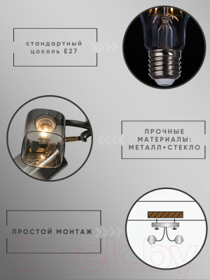 Спот Aitin-Pro НПБ 02-4x60-101 / N5277/4 (черный/золото)