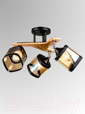 Спот Aitin-Pro НПБ 02-3x60-101 / N5292/3 (черный/дерево) -