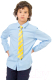 Рубашка детская Isee UN-72171B  (р.34, голубой) - 