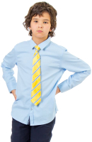 Рубашка детская Isee UN-72171B  (р.40, голубой) - 