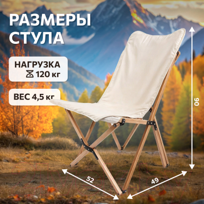 Купить Стул складной National Tree Company ДСТ-4 / HD-5249  