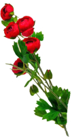 Искусственный цветок Белбогемия MU0707-431 / 107152 - 