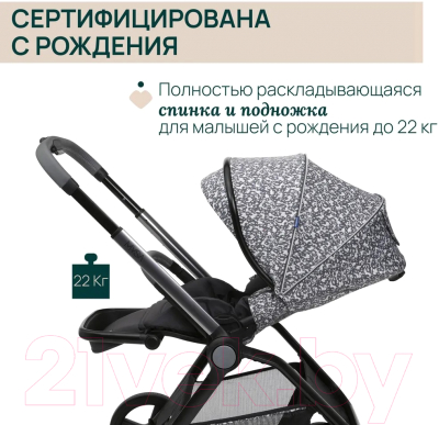 Детская прогулочная коляска Chicco Mysa Stroller (Charming Grey)