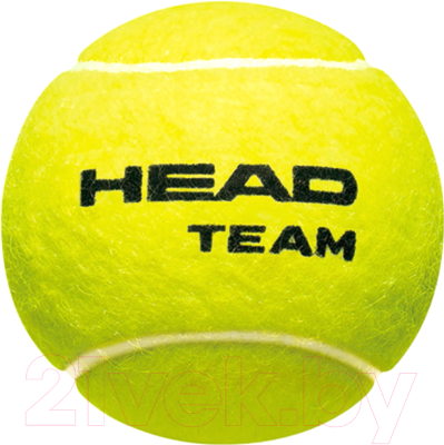 Набор теннисных мячей Head Team 3B / 575703 (3шт)