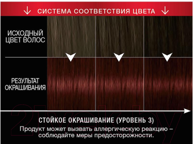 Крем-краска для волос Syoss Salonplex Permanent Coloration 4-2 (красное дерево)