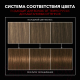 Миниатюра изображения товара Крем-краска для волос Сьёсс Salonplex Permanent Coloration 5-8 (ореховый светло-каштановый)