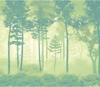 Фотообои листовые Citydecor Таинственный лес 11 (300x260см) - 