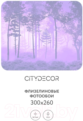 Фотообои листовые Citydecor Таинственный лес 13 (300x260см)