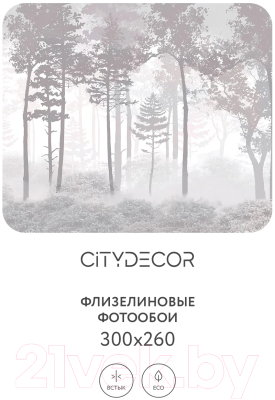 Фотообои листовые Citydecor Таинственный лес 15 (300x260см)