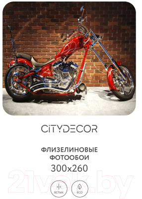 Фотообои листовые Citydecor Транспорт 23 (300x260см)