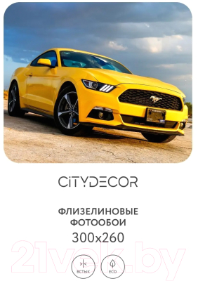 Фотообои листовые Citydecor Транспорт 24 (300x260см)