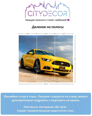 Фотообои листовые Citydecor Транспорт 24 (300x260см)