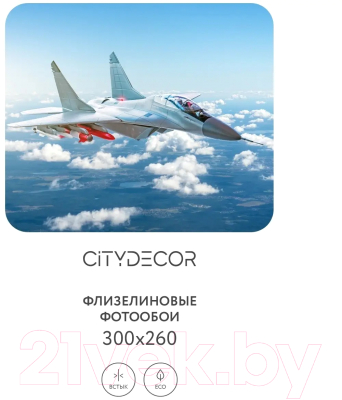 Фотообои листовые Citydecor Транспорт 29 (300x260см)