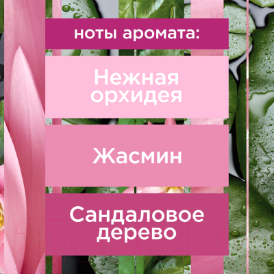Сменный блок для освежителя воздуха Glade Automatic Японский сад (269мл)