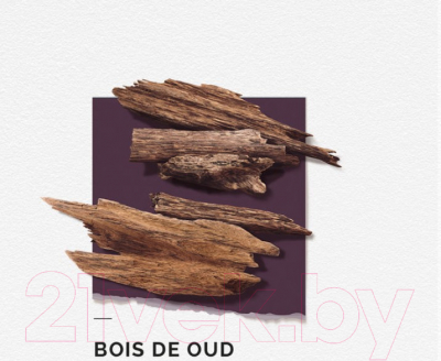 Парфюмерная вода Solinotes Bois De Oud (15мл)