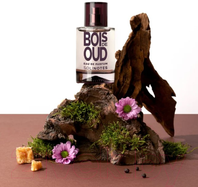 Парфюмерная вода Solinotes Bois De Oud